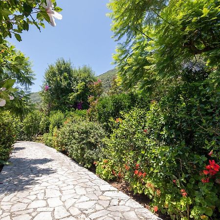 Ionian Garden Villas - Villa Pietra Benitses  Exteriör bild