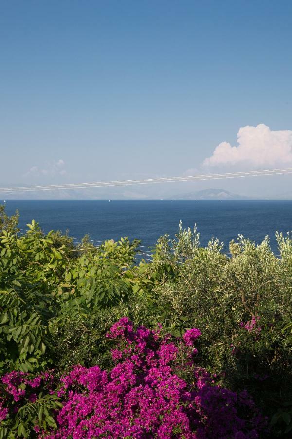 Ionian Garden Villas - Villa Pietra Benitses  Exteriör bild